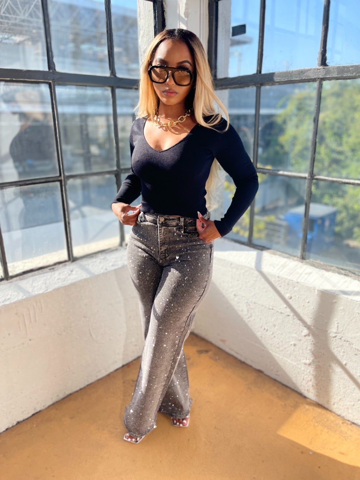 
                  
                    Diamond Dust Jeans
                  
                